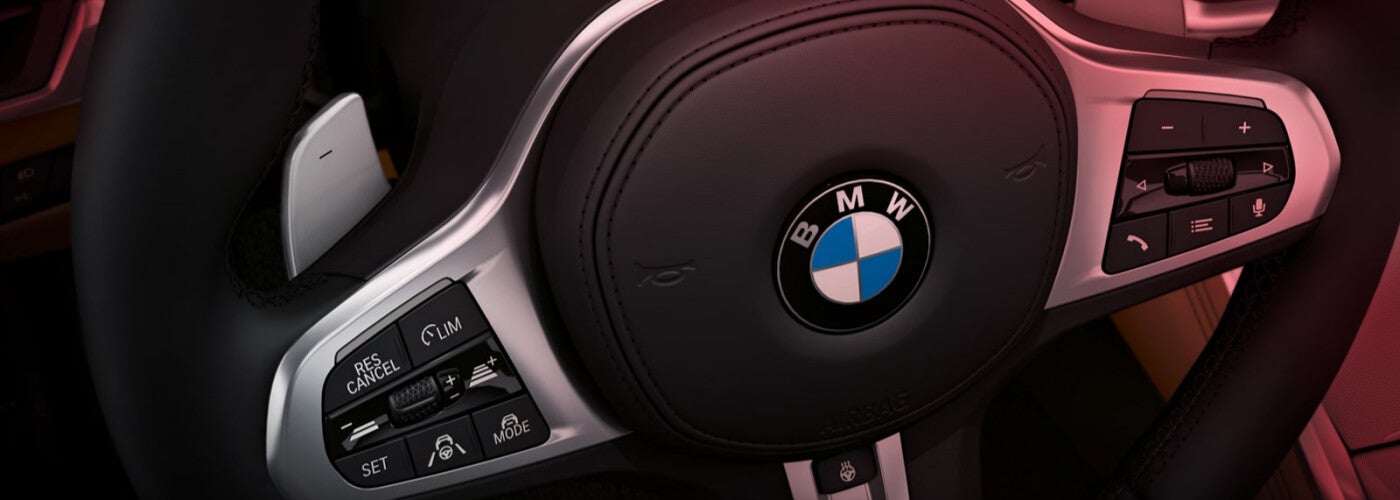 BMW logo on steering wheel