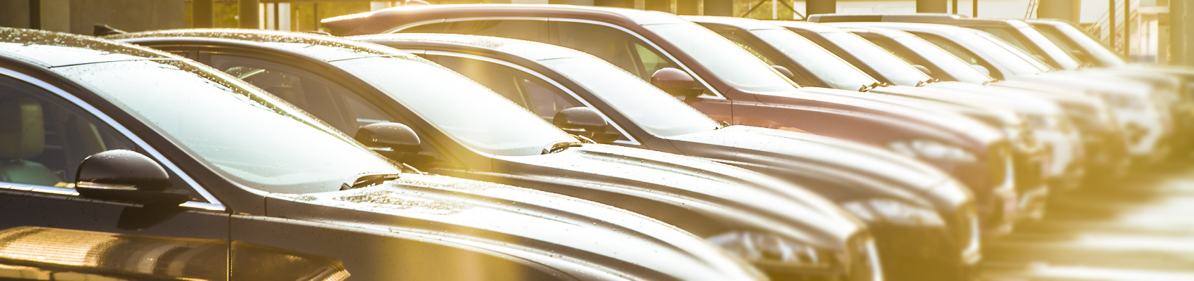 Exotic Car Dealers Virginia