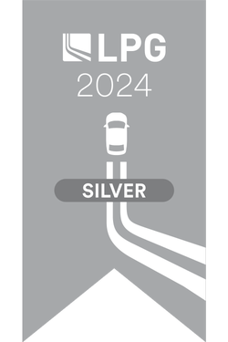 2024 Gold Award Badge